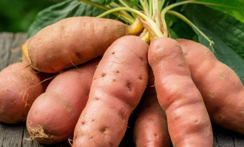 How Far Did Sweet Potatoes Travel
